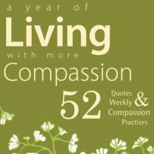 Mindfulness Book